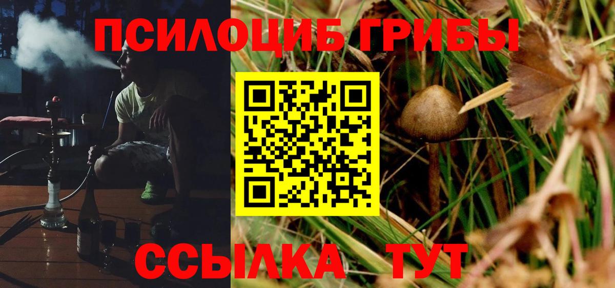 Галлюциногенные грибы Magic Shrooms  Вход с VPN  Елец  Галлюциногенные грибы мицелий 