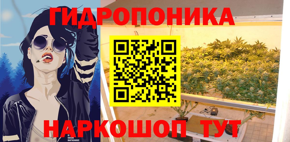 Марихуана Amnesia  Канабис White Widow  Вход с VPN  Елец  Канабис AK-47  Шишки марихуана семена 